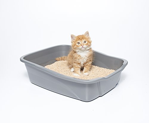 8. sWheat Scoop Multi-Cat All-Natural Clumping Cat Litter