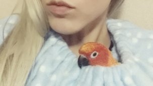 3. Dukes Digs Critter Cuddler Small Animal Carrier and Bonding Pouch