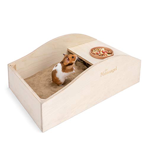 Best Hamster Digging Toy: Niteangel Hamster Sand Bath, Dust Free Box