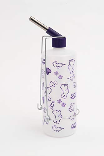 6. Lixit All Weather Water Bottle