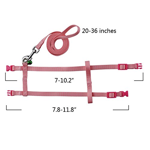 8. PerSuper 2 Pack Small Pet Harness