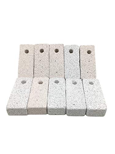 Best Hamster Pumice Stone: Shelltech Small Animal Lava Bites Hamster Chew Toys