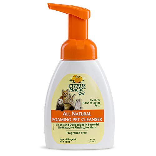 5. Citrus Magic Pet Foaming Pet Cleanser
