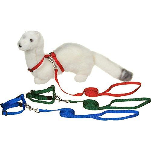 4. PETCO Deluxe Ferret Harness and Lead