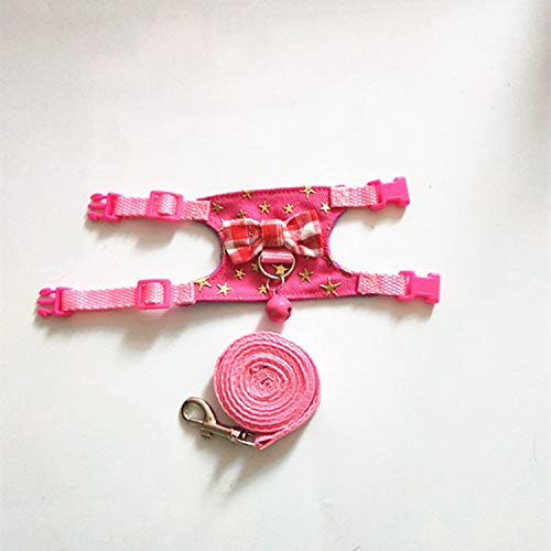 6. LXT&YY Small Animal Outdoor Walking Vest Harness and Leash Set