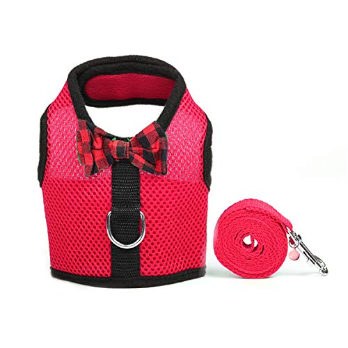 3. RYPET Small Animal Harness and Leash