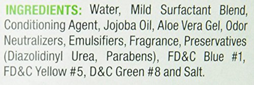 1. 8 In 1 Ferretsheen 2-in-1 Deodorizing Shampoo