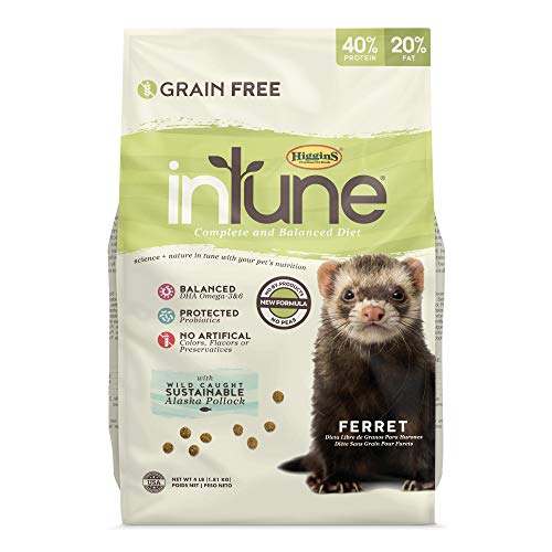 12. Higgins Pet Food Intune Ferret