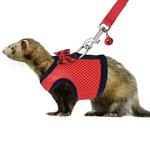 3. RYPET Small Animal Harness and Leash