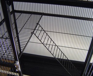 8. EVERILA Bird Cage