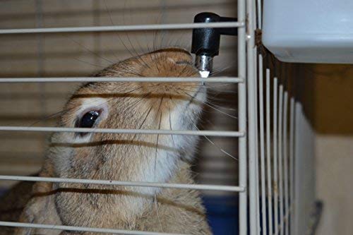 8. RentACoop Water Bottle For Hamsters