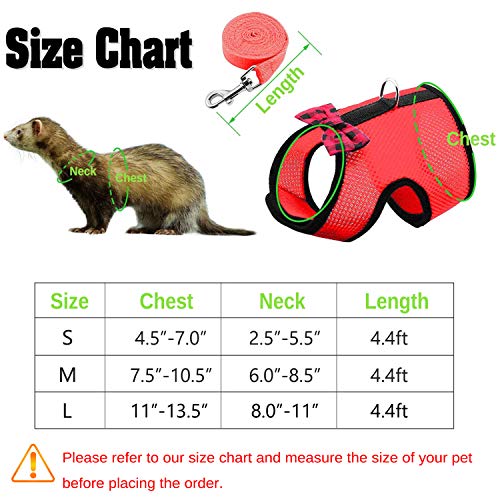 3. RYPET Small Animal Harness and Leash