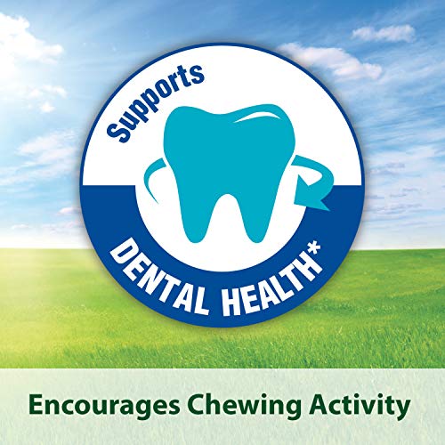 1. Kaytee Fiesta Hamster And Gerbil Food