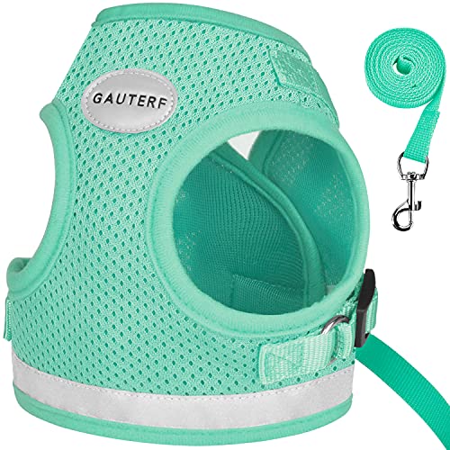 7. Gauterf Cat and Puppy Harness and Leash Set