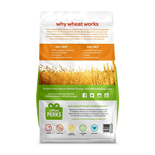 8. sWheat Scoop Multi-Cat All-Natural Clumping Cat Litter