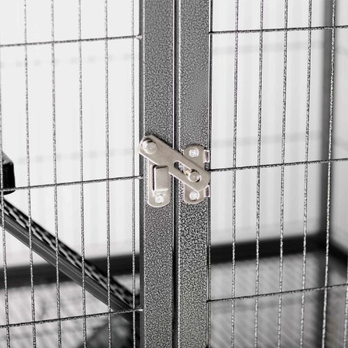 2. Prevue Hendryx Feisty Home