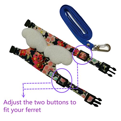 2. Capkomi Ferret Harness and Leash