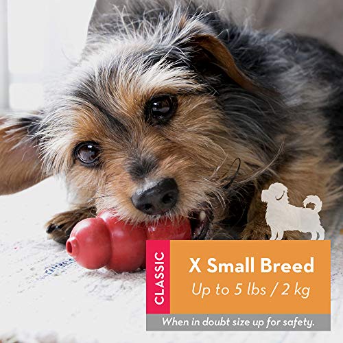 11. KONG – Durable Natural Rubber Toy