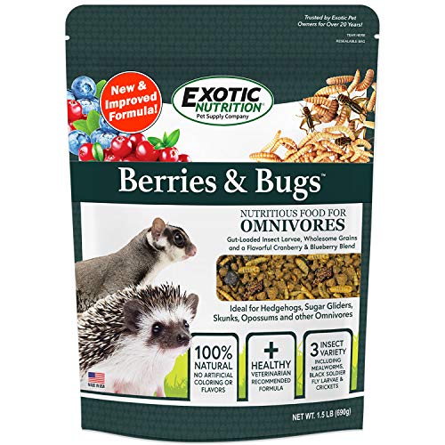4. Exotic Nutrition Berries & Bugs