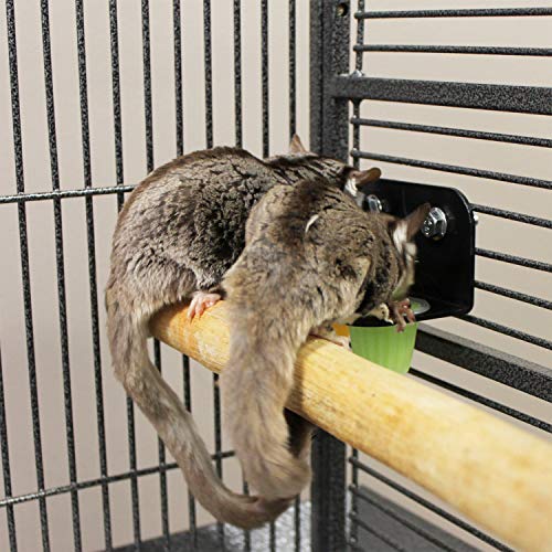 3. Nectar Pods - Calcium-Fortified Jelly Fruit Treat