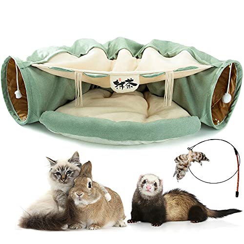 9. Kumikiwa Tunnel Bed