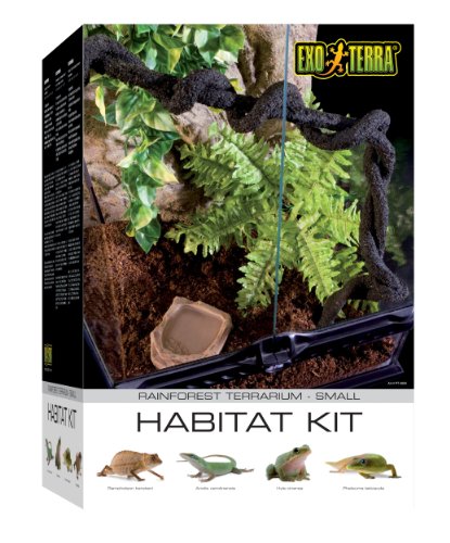 5. Exo Terra Rainforest Habitat Kit