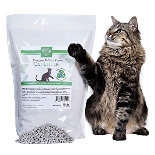 9. Small Pet Select-Recycled Pelleted Paper Cat Litter