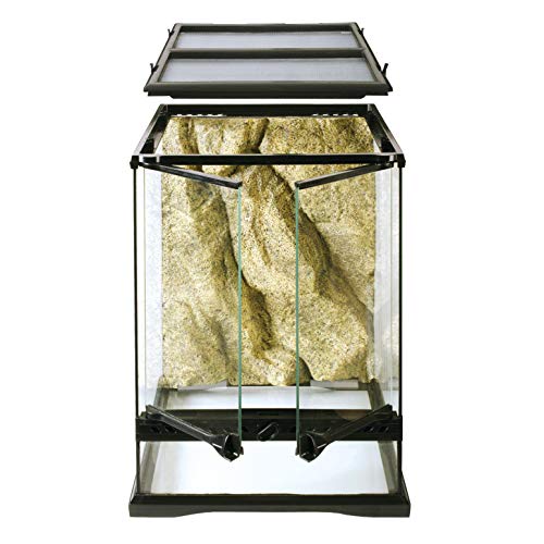 3. Exo Terra Glass Terrarium