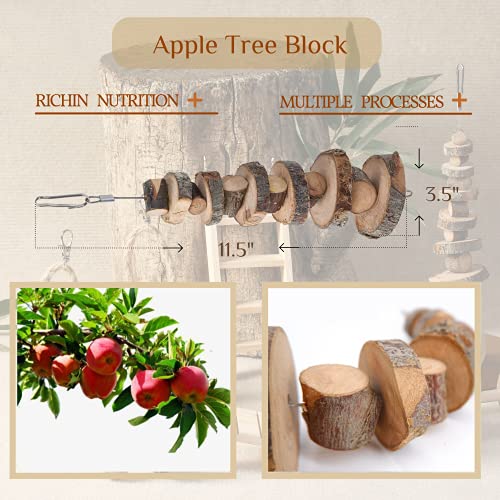 Best Hamster Bundle: JanYoo Hamster Toy Bundle