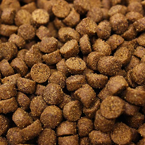 12. Higgins Pet Food Intune Ferret