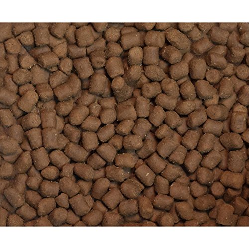 4. Wysong Ferret Epigen 90