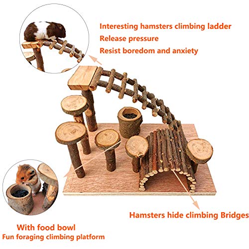 Best Hamster Climbing Toy: Tfwadmx Wooden Hamster Climbing Activities