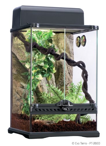 5. Exo Terra Rainforest Habitat Kit