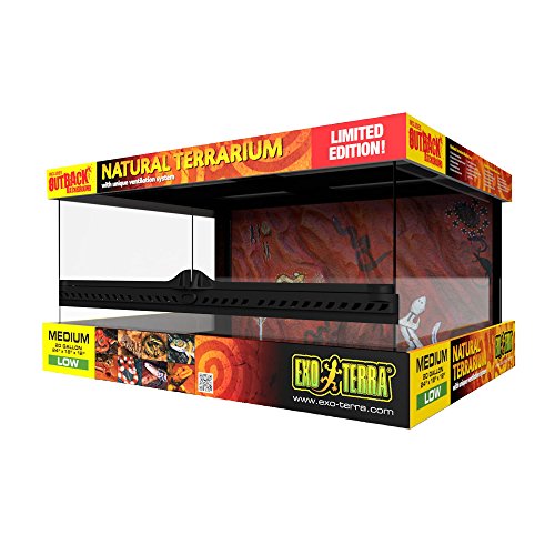 1. Exo Terra Outback Terrarium