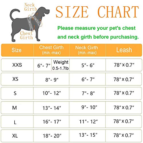 7. Gauterf Cat and Puppy Harness and Leash Set