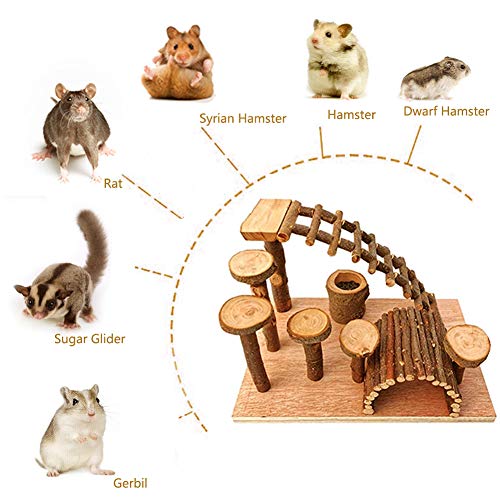 Best Hamster Climbing Toy: Tfwadmx Wooden Hamster Climbing Activities