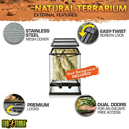 3. Exo Terra Glass Terrarium