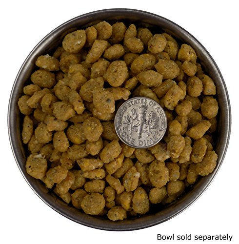 2. Happy Glider Fruity Flavor Sugar Glider Food