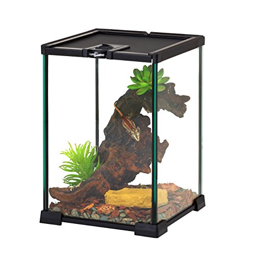 11. REPTIZOO Mini Reptile Glass Terrarium