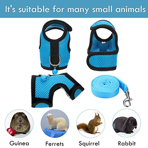 9. SATINIOR Small Pet Harness and Leash