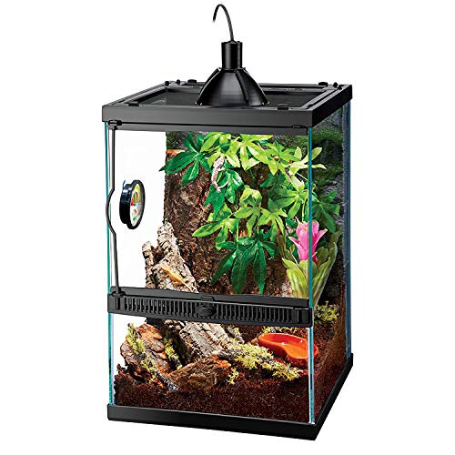 6. Zilla Tropical Reptile Vertical Starter Kit