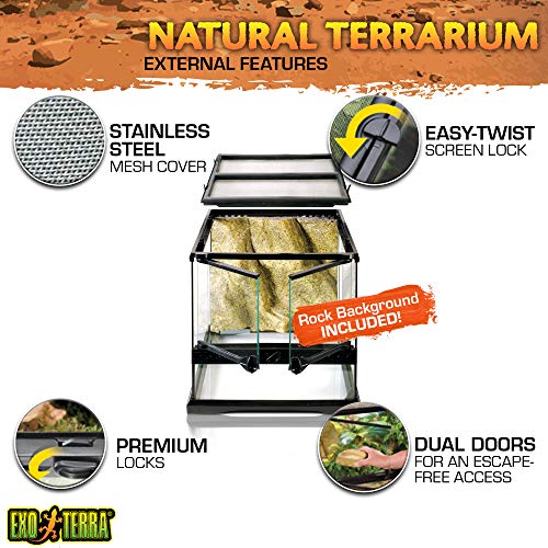 2. Exo Terra Glass Terrarium Kit