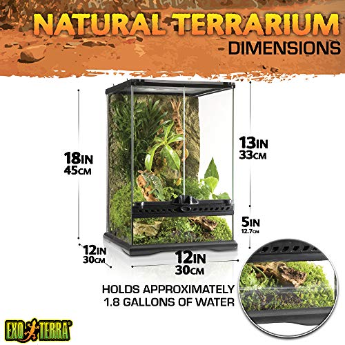 3. Exo Terra Glass Terrarium