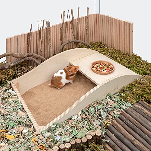 Best Hamster Digging Toy: Niteangel Hamster Sand Bath, Dust Free Box