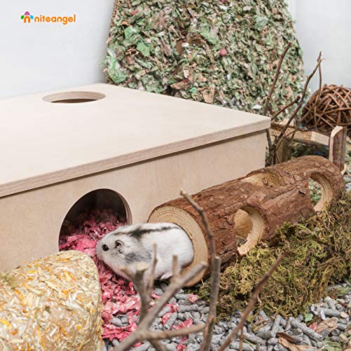 Best Hamster Tunnel: Nitegangel Natural Wooden Hamster Hollow Tree Trunk Tunnel