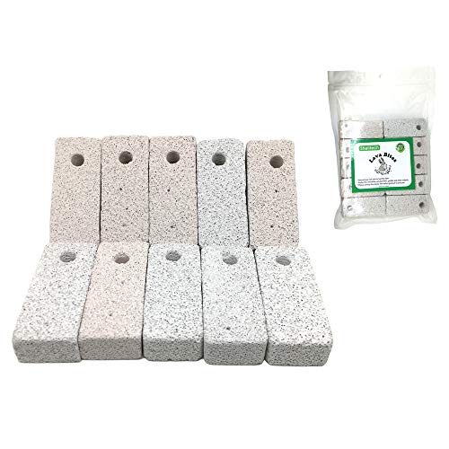 Best Hamster Pumice Stone: Shelltech Small Animal Lava Bites Hamster Chew Toys