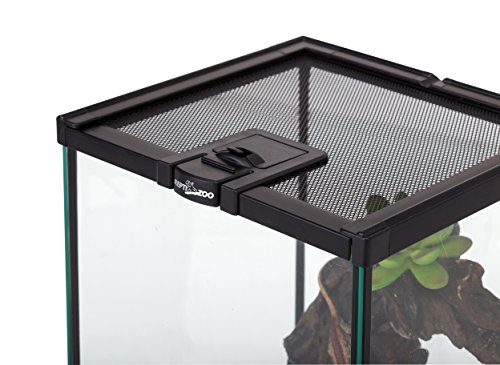 11. REPTIZOO Mini Reptile Glass Terrarium