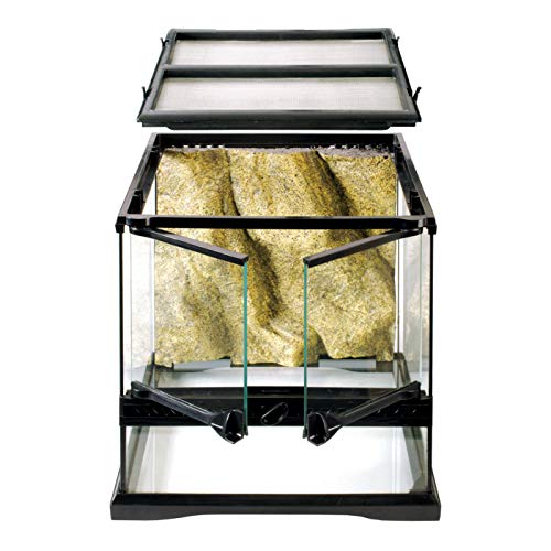 2. Exo Terra Glass Terrarium Kit