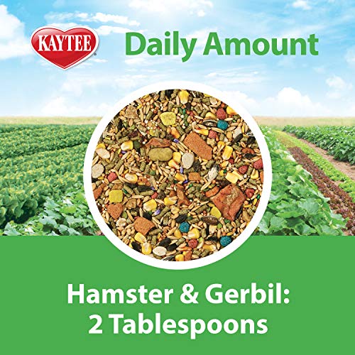 1. Kaytee Fiesta Hamster And Gerbil Food
