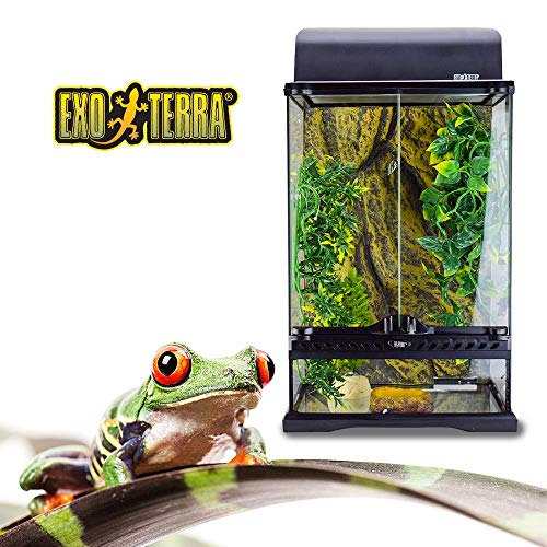5. Exo Terra Rainforest Habitat Kit